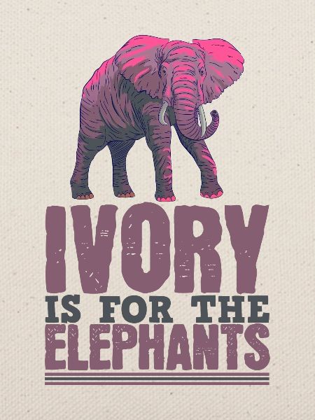 Elefant Leben Elfenbein