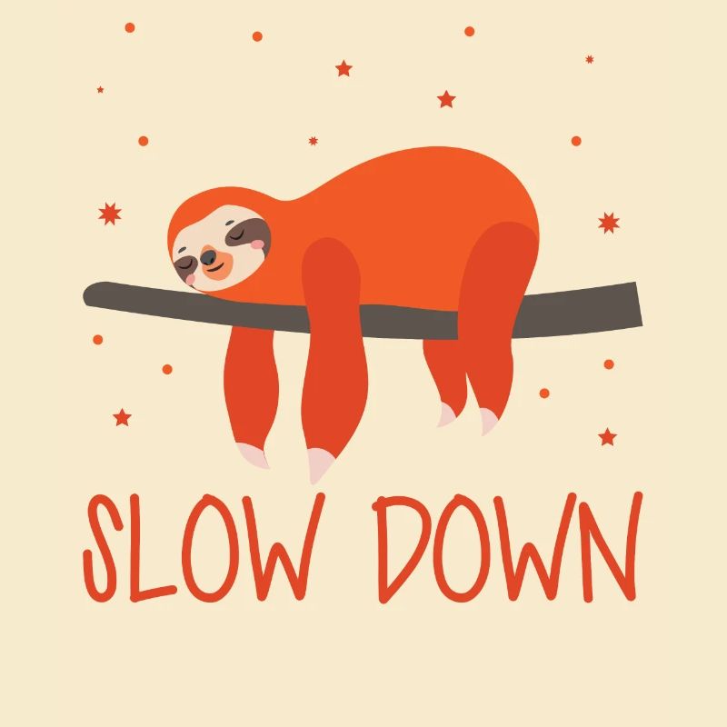 Sloth Slow Down