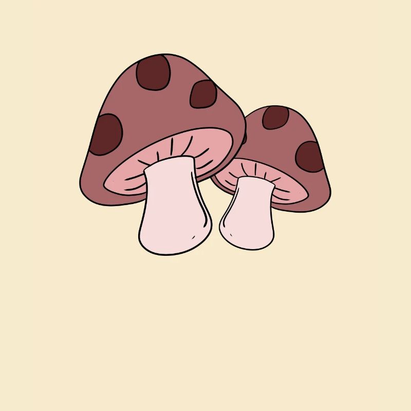 Champignons cueillette champignons