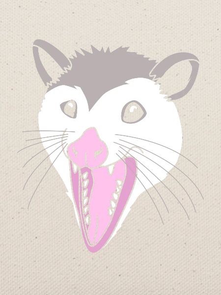 Opossum