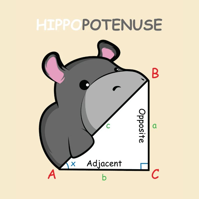Hippopotenuse Math Genius Gift