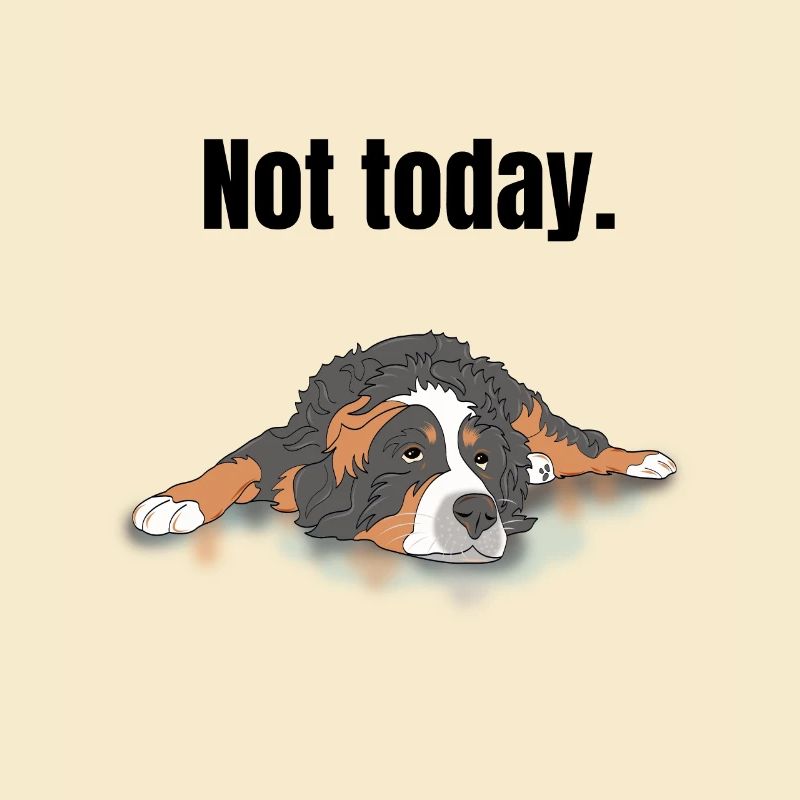 Bernese Mountain Dog Gift