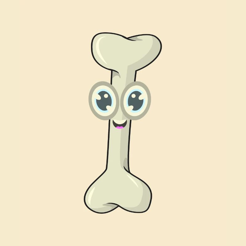 Bone chewing bone