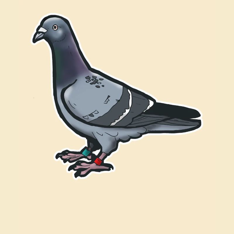 Comic Lustige Taube Vogel Geschenkidee Brieftaube