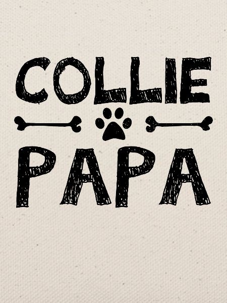 border collie Papa