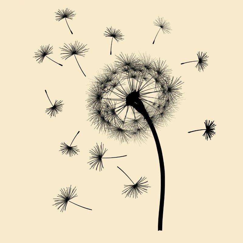Pusteblume / Löwenzahn