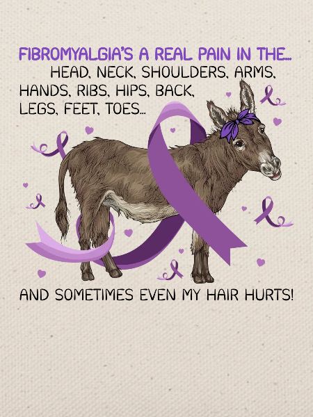Fibromyalgia Donkey Awareness