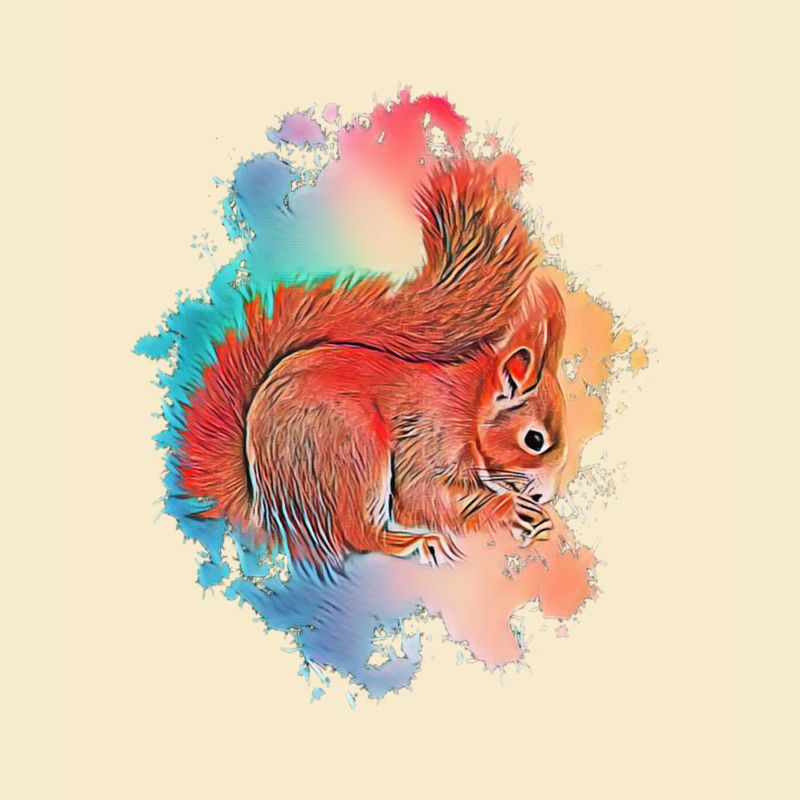 Eichhörnchen