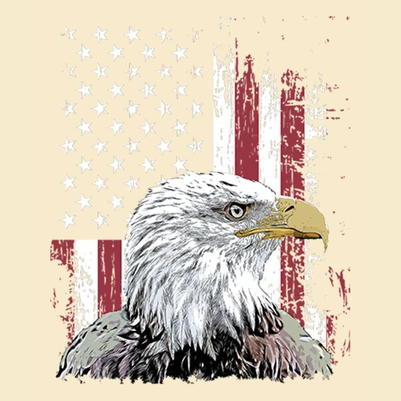 Independence Eagle American Flag Eagle