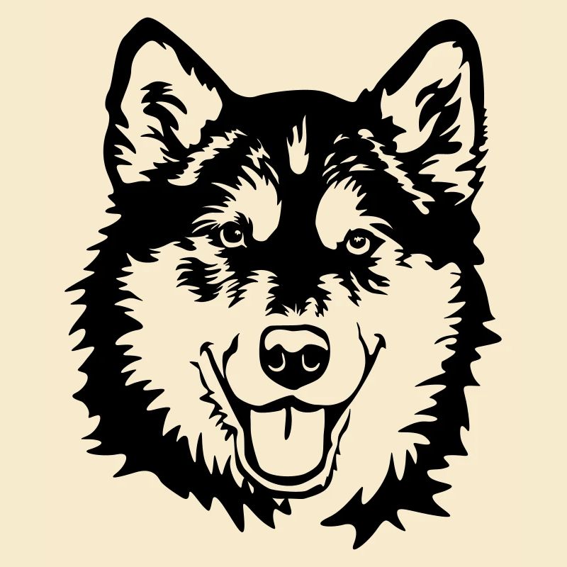 Alaskan Malamute Kopf