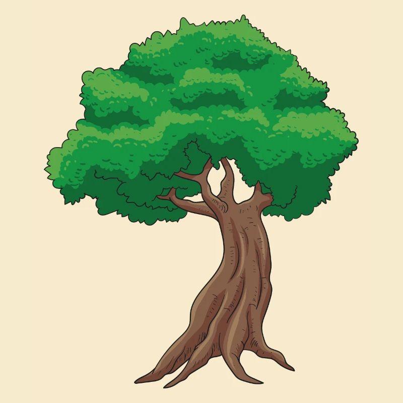 Bonsai Baum