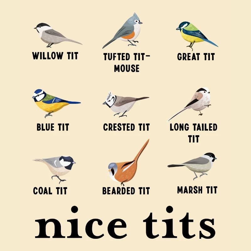 Belles mésanges Cadeau de Noël drôle pour l’observation des oiseaux