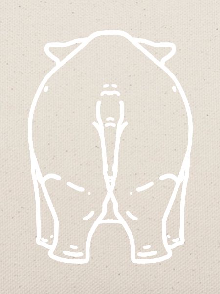 Nashorn Hintern