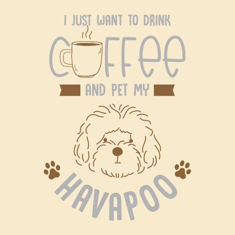havapoo, havapoo Havanese, poodle,