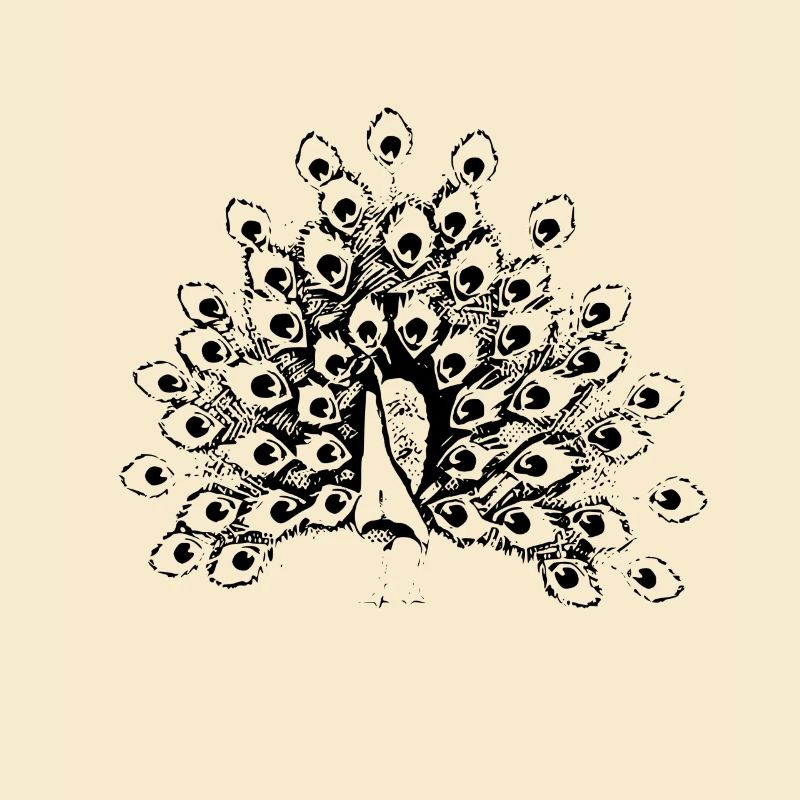 Pfau