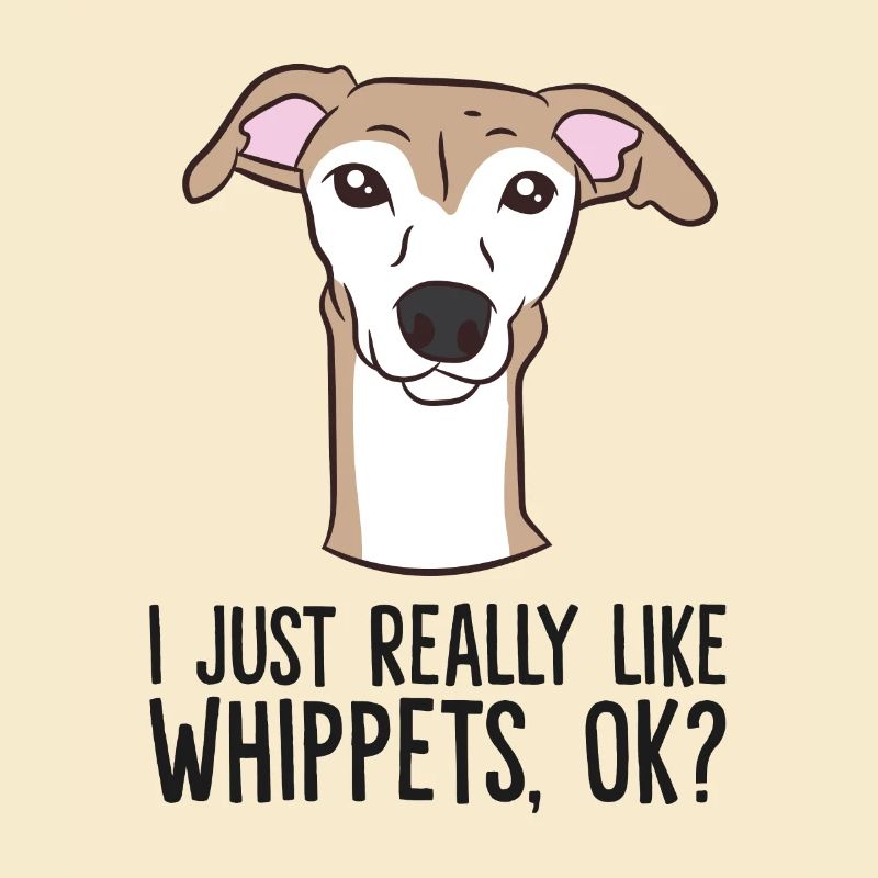 J’aime vraiment les Whippets