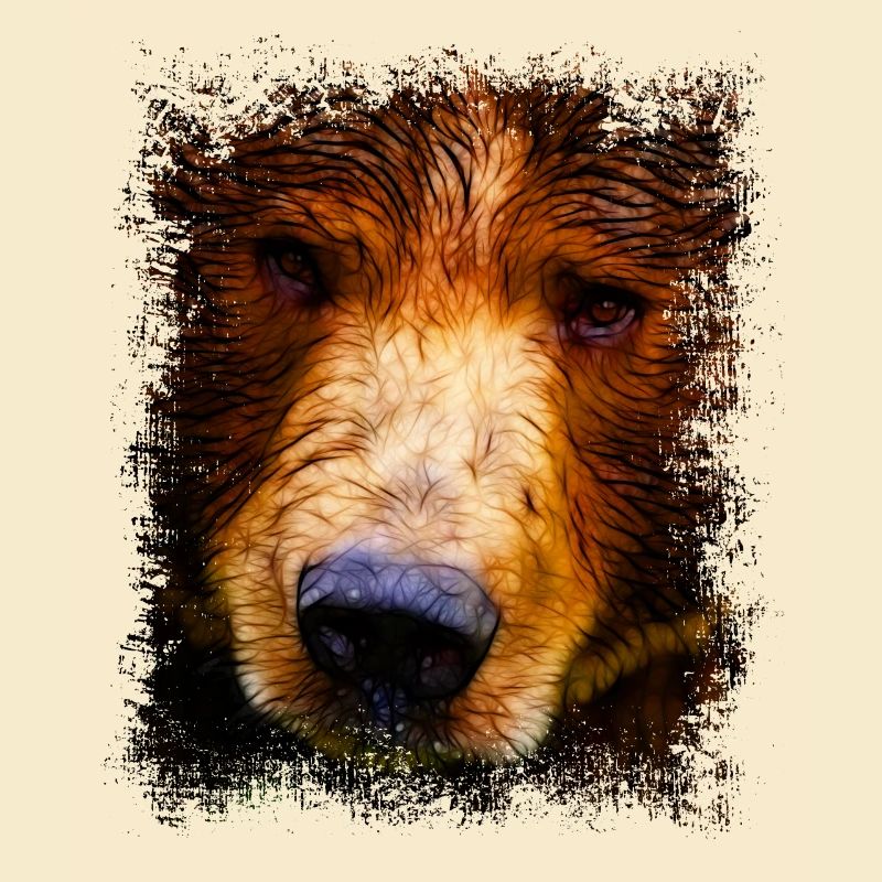 Braunbär