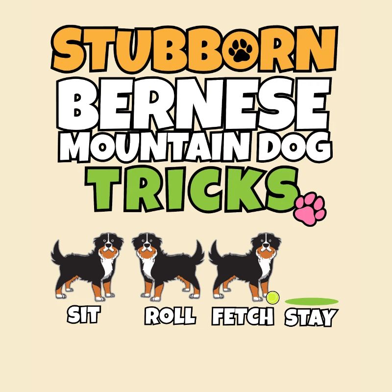 Têtu bouvier bernois Tricks I Bernese