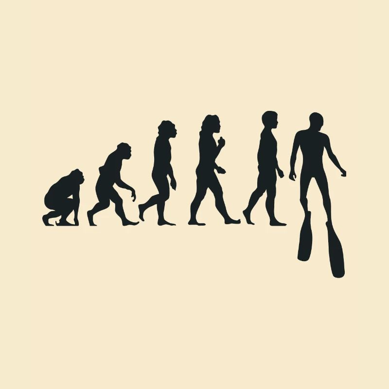 Freitauchen Evolution Apnoetaucher Freitaucher