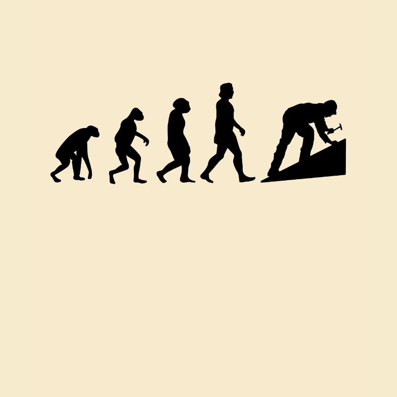 Dachdecker Evolution Hausdach Dachziegel Dach