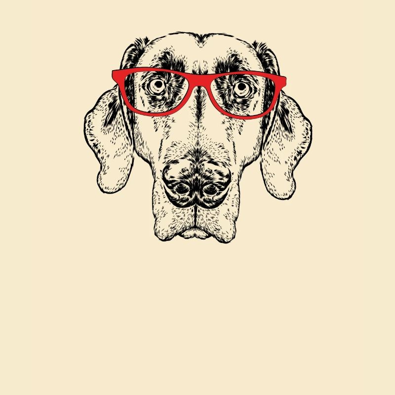 Weimaraner