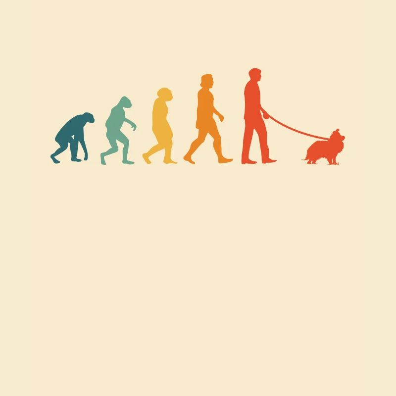 Shetland Sheepdog Evolution Retro Sheltie