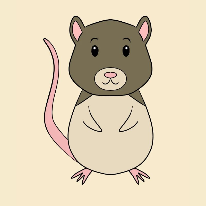 Vole Mouse