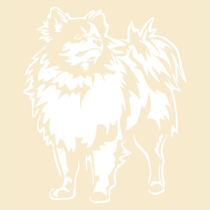 Spitz "Black Edition"