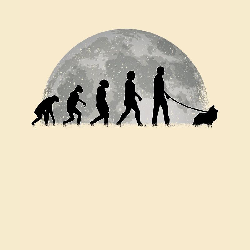 Sheltie Evolution Mond Shetland Sheepdog