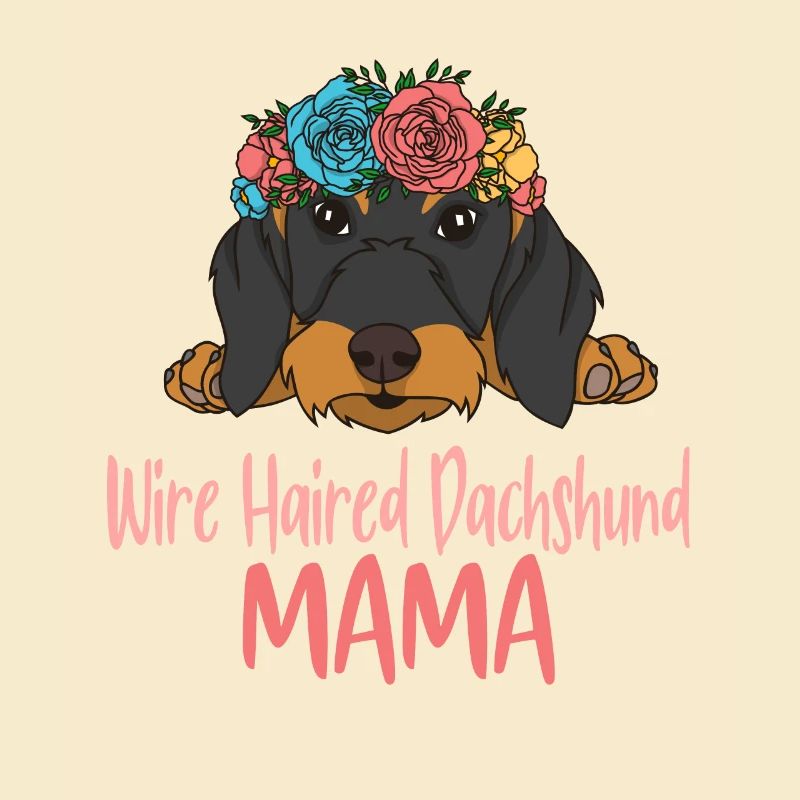 Rough-haired dachshund MAMA
