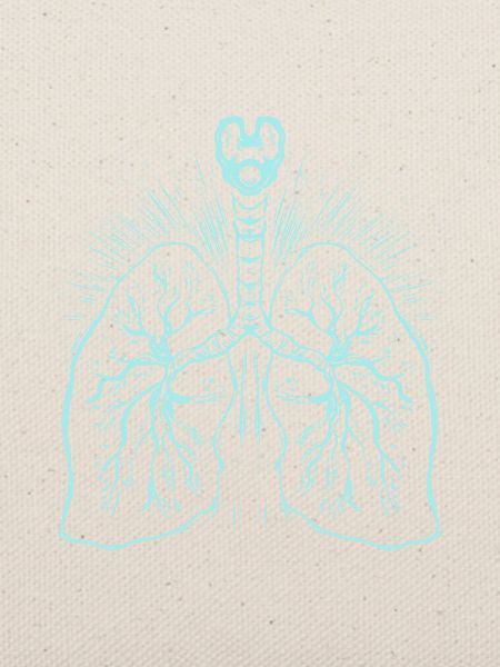 Anatomie der Lunge - Medizin