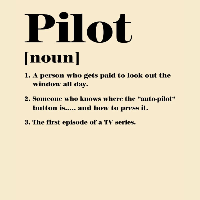 Pilot Definition