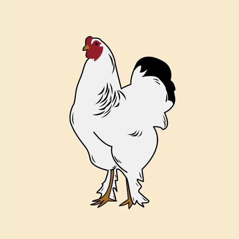 Brahma Rooster Chicken Funny Farmer Chicken