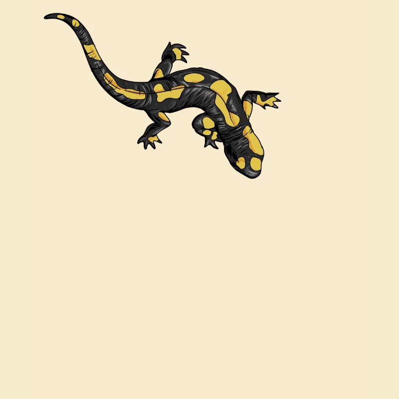 Dessin d’une salamandre de feu