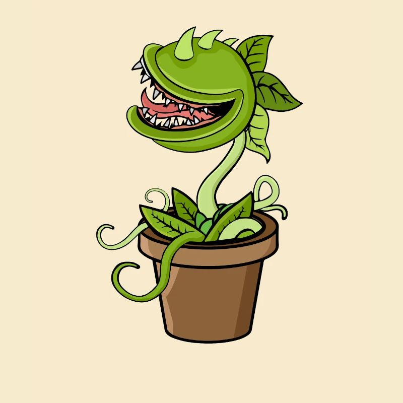 Carnivorous plant Venus flytrap