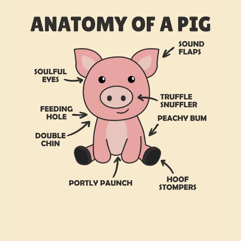 drôle d’explication de l’anatomie d’un cochon