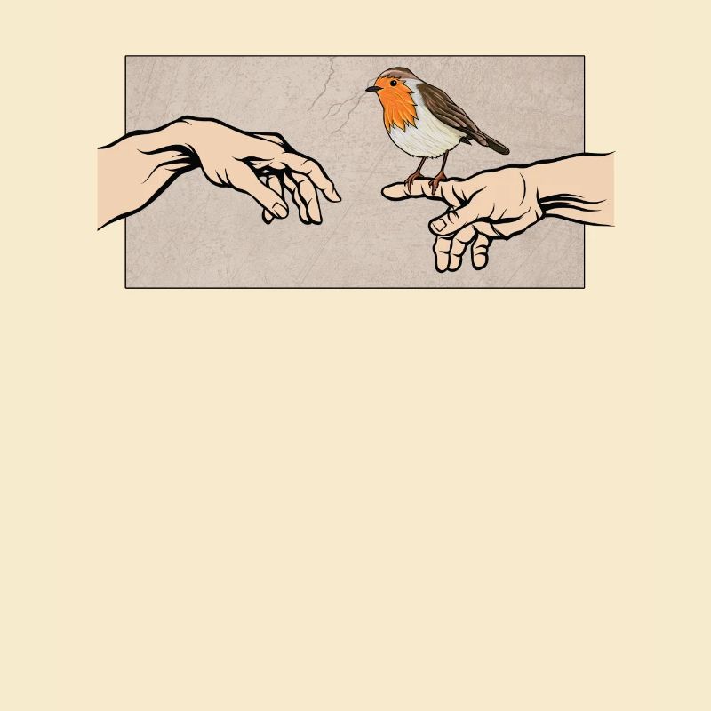 Rotkehlchen Vogel des Jahres Rotkehlchen