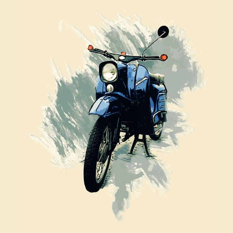 Simson Swallow