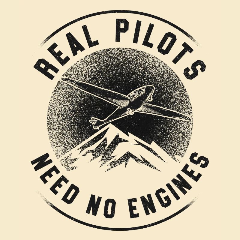 Airplane Pilot Glider Plane
