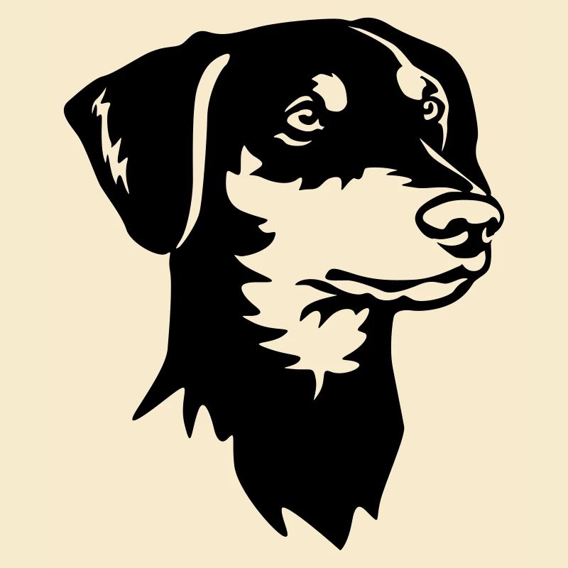Deutscher Pinscher Kopf