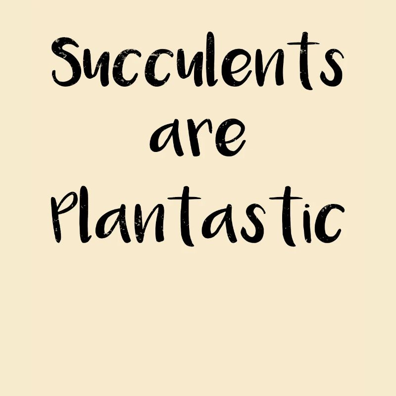 Succulent Cactus Florist Plantastic Cacti