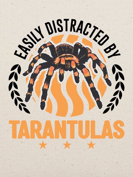 Easily distracted by Tarantulas Tarantel