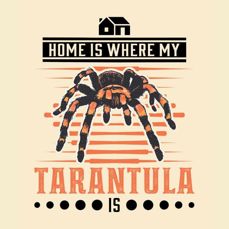 Tarentule Accueil Araignée Tarentule
