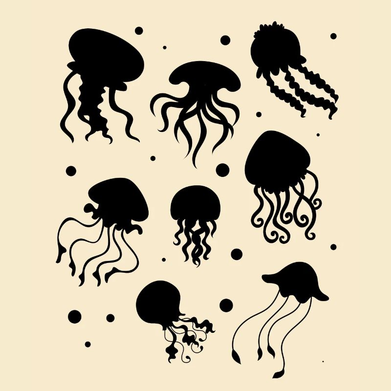 Méduses heureuses méduses méduses