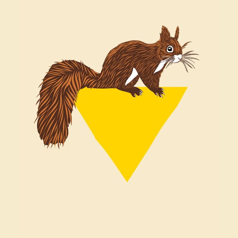 Squirrel Fuchshörnchen Grauhörnchen Eichhörnchen