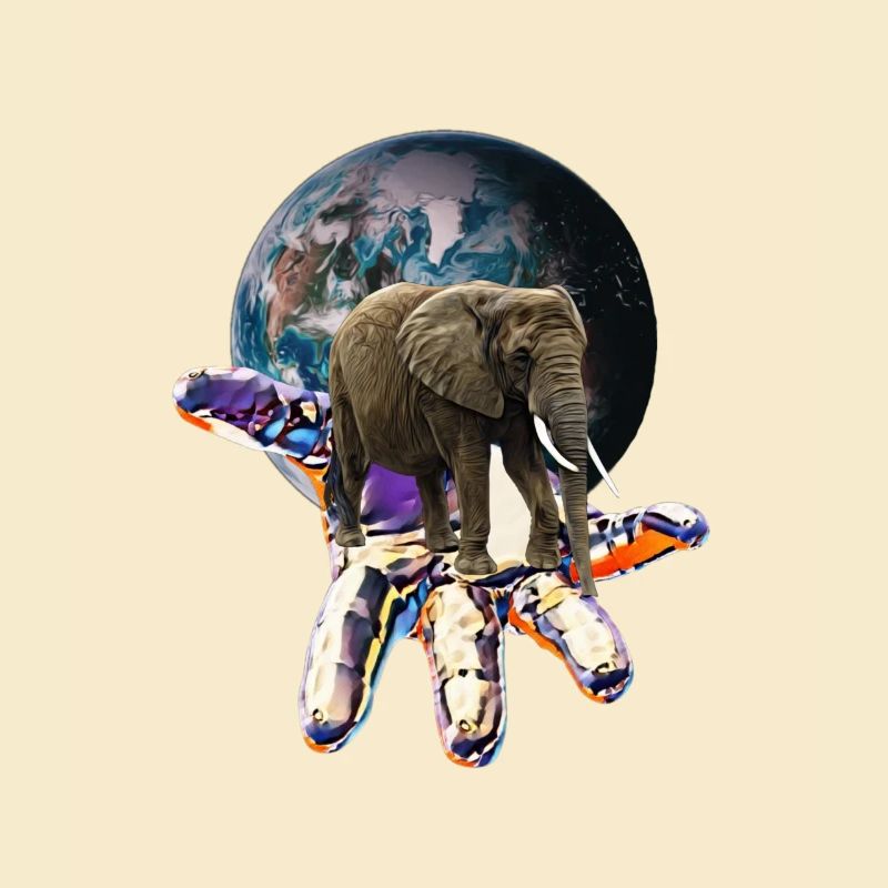 Elefant