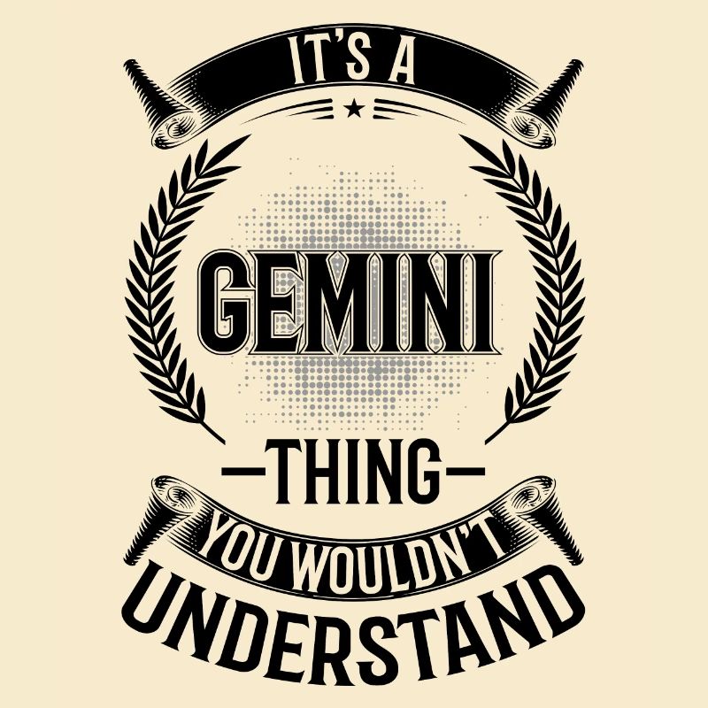 Vous ne comprendriez pas - Gémeaux