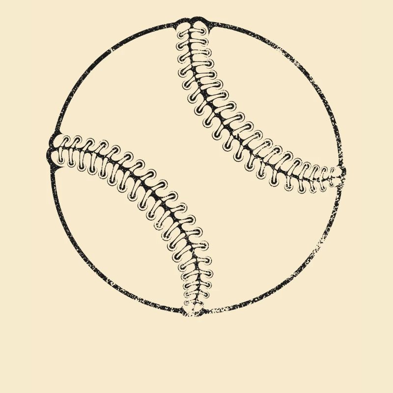 Baseball Fan