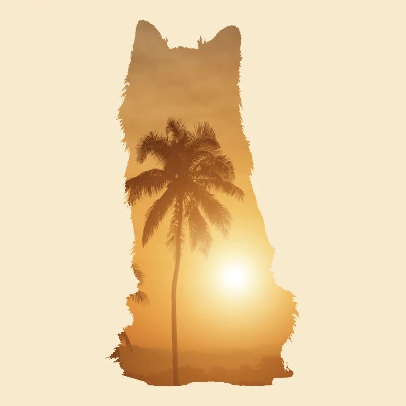 Summer Beach - Australian Shepherd