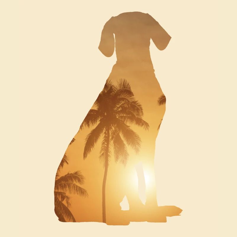 Summer Beach - Weimaraner